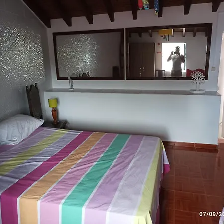 別荘 Blue And Gold Cozy Ribeira Seca (Vila Franca do Campo)