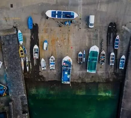 Blue And Gold Cozy * Ribeira Seca (Vila Franca do Campo)
