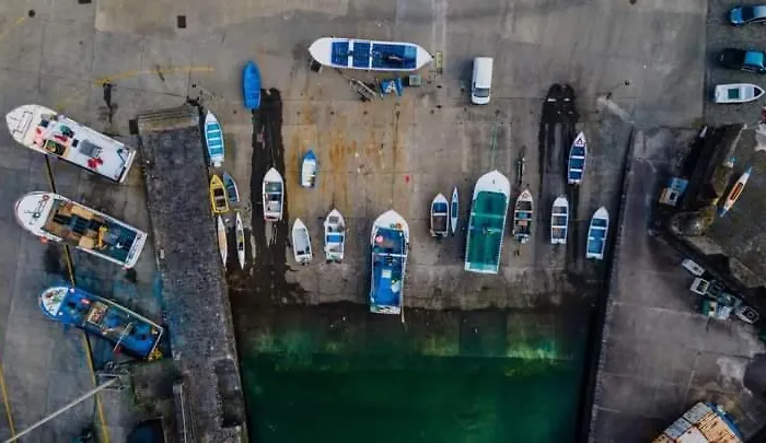 Blue And Gold Cozy * Ribeira Seca (Vila Franca do Campo)